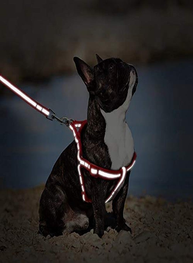 RoverPets طقم سرج ومقود عاكس للضوء من روفر بيتس بيت مقاس 15 مم | طقم سرج ومقود قابل للتعديل من النايلون الناعم والراديوم للكلاب الصغيرة | معدات مشي مريحة وآمنة للحيوانات الأليفة (أخضر) - Image 5